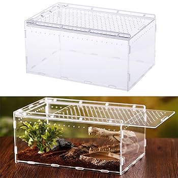 【6box】30×20×15 白底 レプタイルボックス同等 マグネット アクリル Amazon | レプタイルボックス 爬虫類 飼育ケース 30 x 20 x 15